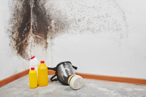 Best Mold Testing  in Weweantic, MA