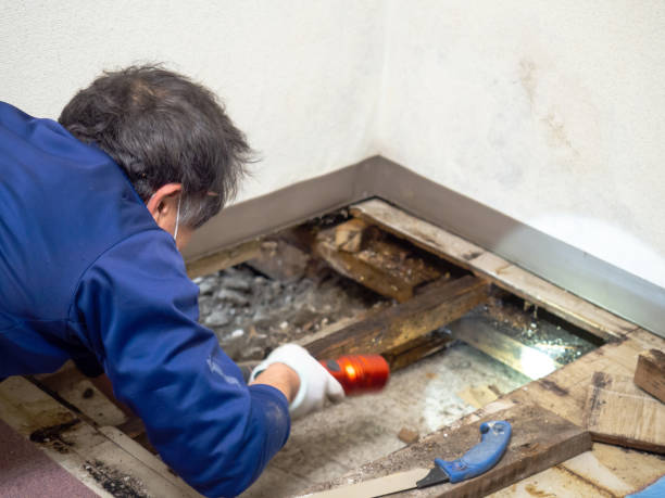 Crawl Space Mold Removal in Weweantic, MA