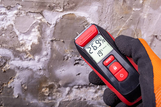 Best Professional Mold Removal  in Weweantic, MA